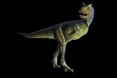 Carnotaurus (kahrn-uh-TAWR-uss)