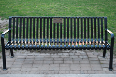 bench outside Robart's library
