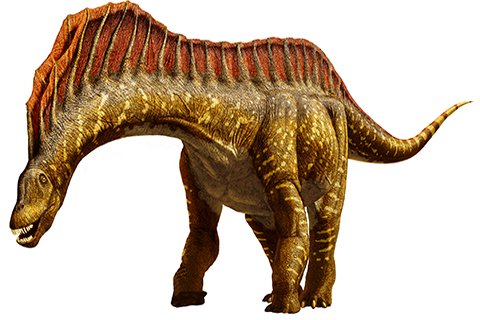 Amargasaurus (ah-MAR-guh-SAWR-uss)