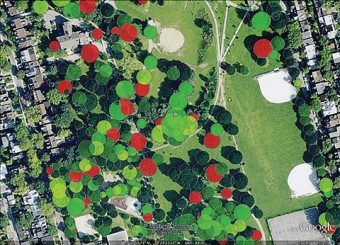 Aerial image of forested area in a city.