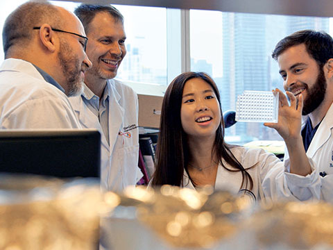 From left: U of T professors Craig Simmons and Peter Zandstra and PhD students Jennifer Ma and Curtis Woodford are among the dozens of researchers who will work to advance treatments for heart patients at the Ted Rogers Centre for Heart Research. Photo: Q Media