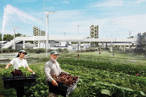 Reclaimed seawater irrigates urban farms in Juan Caviedes and Negin Akhlaghpour's award-winning design. Illustration: Juan Caviedes and Negin Akhlaghpour