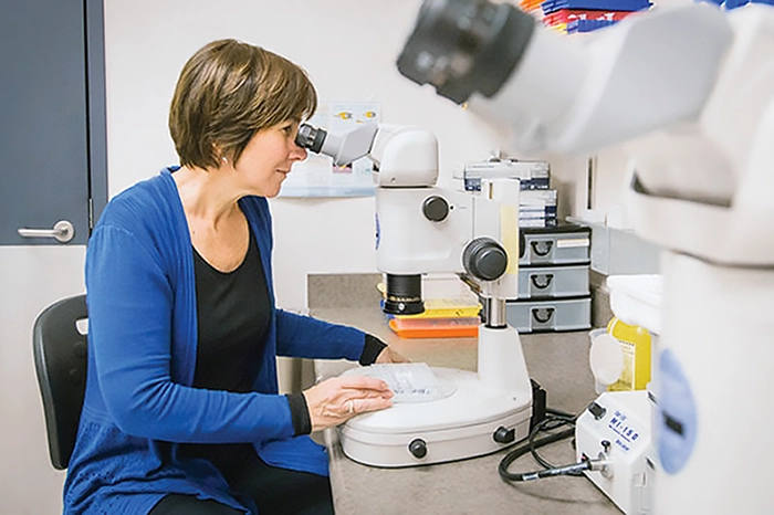 Cheryl Arrowsmith at work in a lab, looking at samples under a microscope