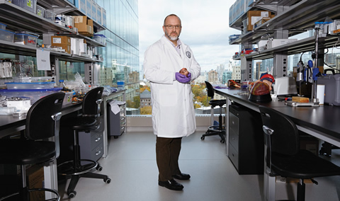 At his lab at the Ted Rogers Centre for Heart Research, U of T scientist Craig Simmons works on growing replacement tissue for the pulmonary heart valve.