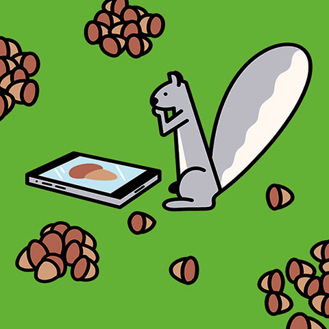 Illustration of a squirrel looking at a mobile device.