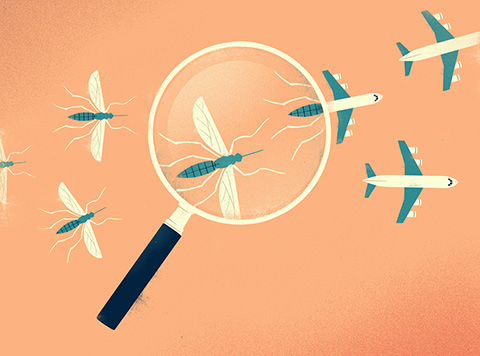 Illustration of a magnifying glass magnifying a mosquito, with mosquitoes on the left of the glass transforming into airplanes on the right.