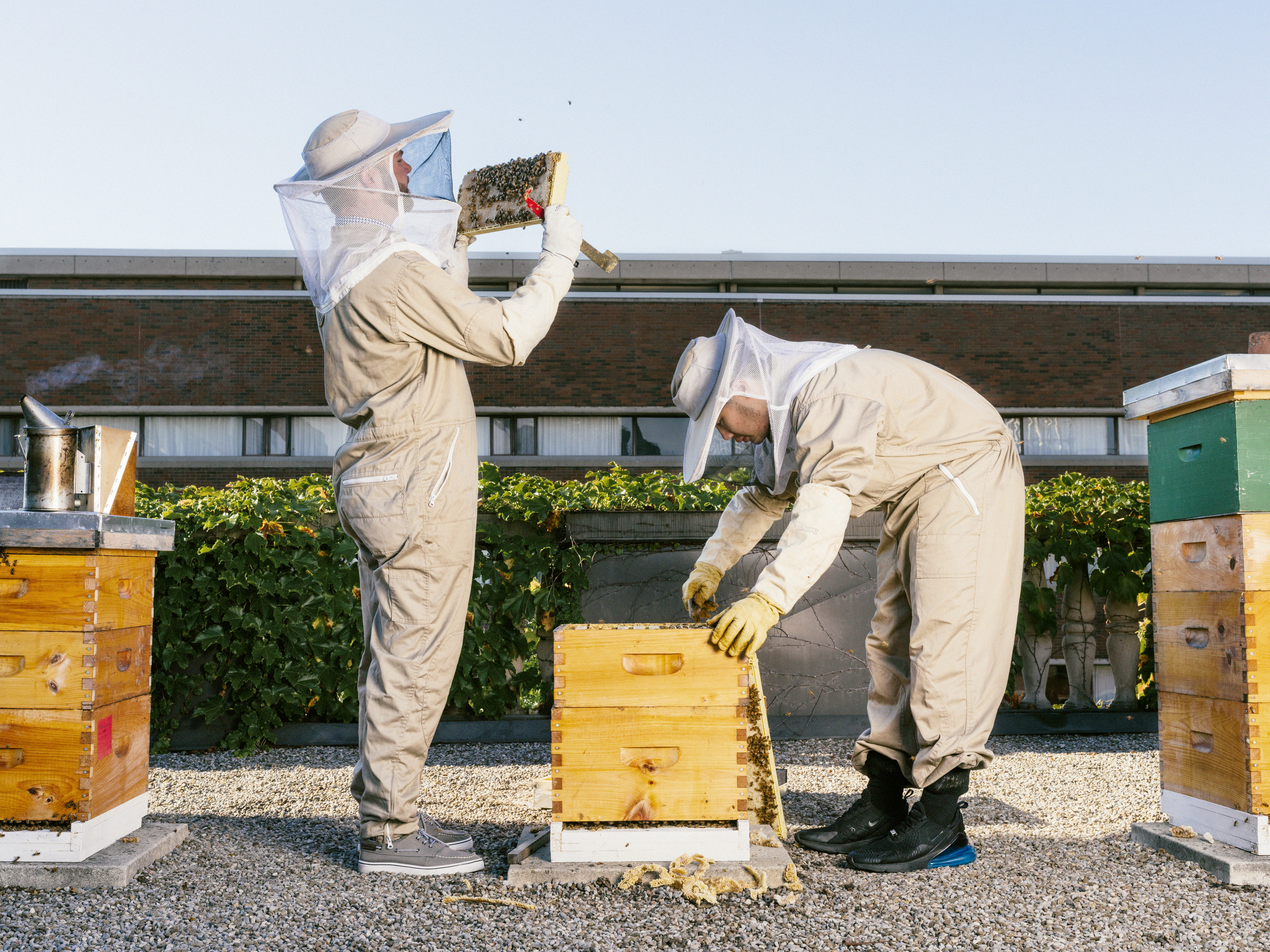 Two beekeepers inspect a hive on the roof of the Faculty Club at U of T