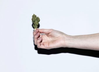 Woman's hand holding a bud of Cannabis.