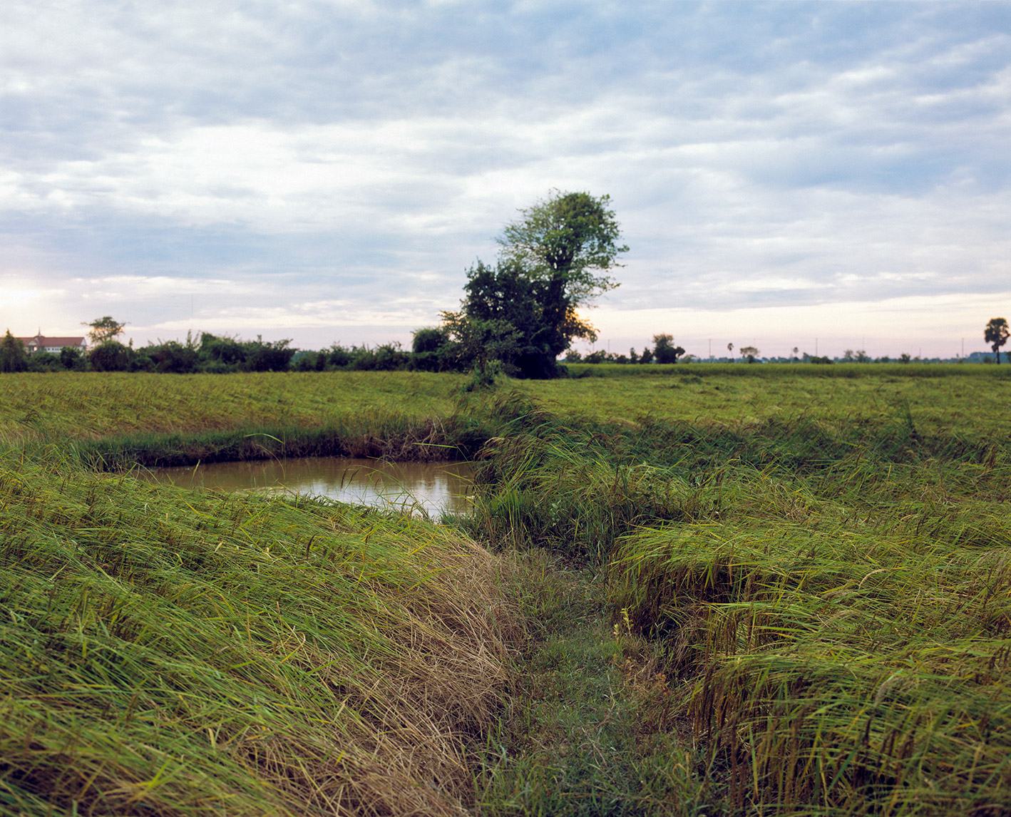 Ditch leading to a landmine crater pond