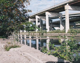 Photo of a section of raised highway with water alongside it, and a tree and shrubs