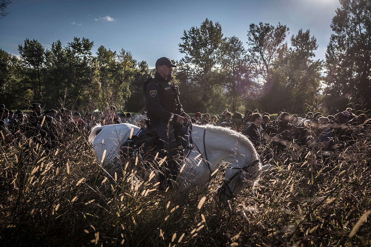 A uniformed policeman is sitting on a white horse that is grazing among shrubs. A line of migrants walk in the background, half concealed by the shrubs.