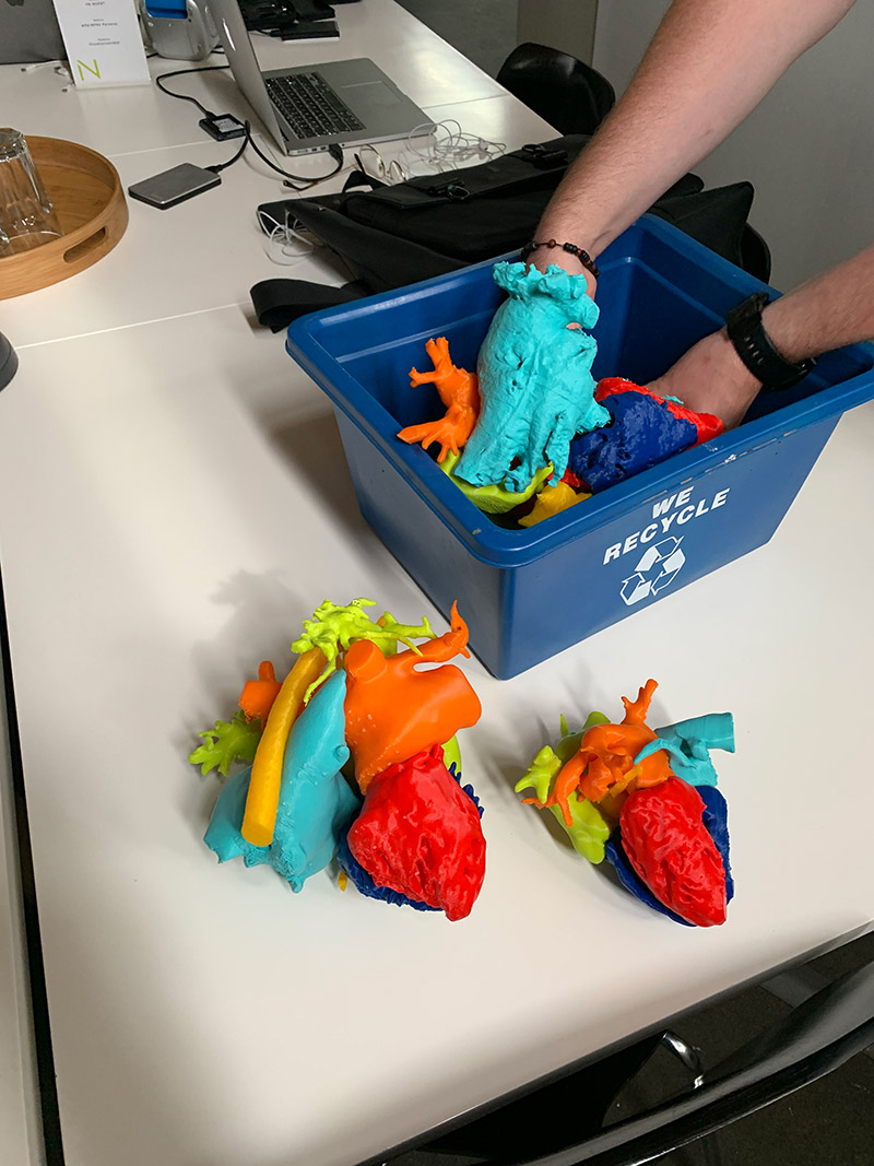 A pair of hands rifle through model pieces of a human heart in a blue recycling box sitting on a table where other pieces have been assembled into two parts
