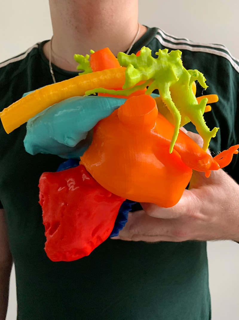Close up photo of a 3-D heart model that was created using a 3-D printer