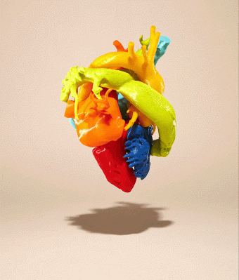 Animated .gif of a human heart model spinning