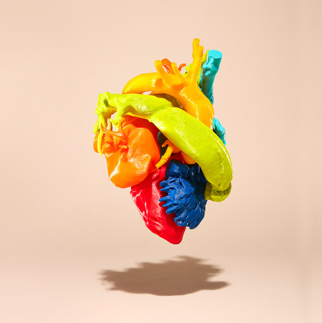 Close up picture of a model of a human heart created with a 3-D printer