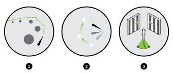 Illustration of three experiments: 1. Zebrafish shape swimming past dark circles increasing progressively in size. 2. Small white circles with one-directional green arrows in between and three zebrafish shapes facing each circle. 3. A zebrafish facing and pivoting between two squares of black and white vertical lines angled up towards the centre