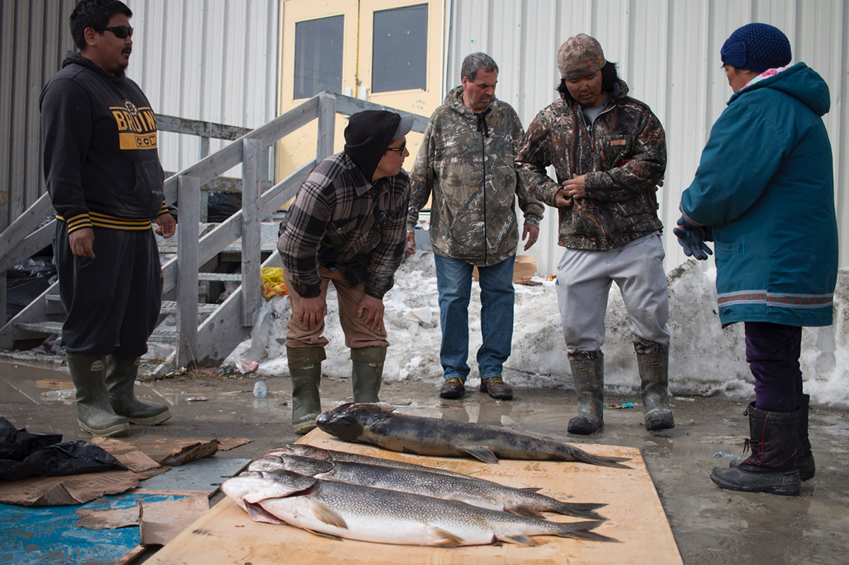 A group of men standing over trout laid out on cardboard