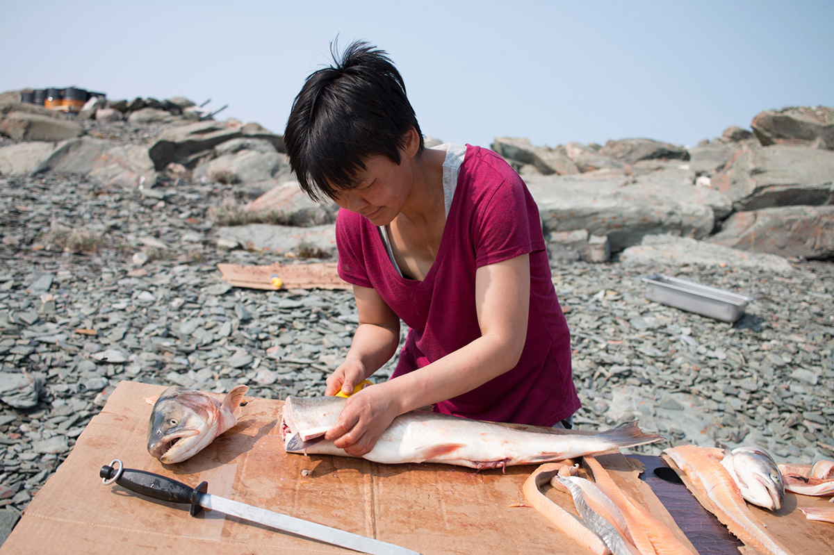 A woman in a red shirt fileting an Arctic char, with a rocky beach in the background