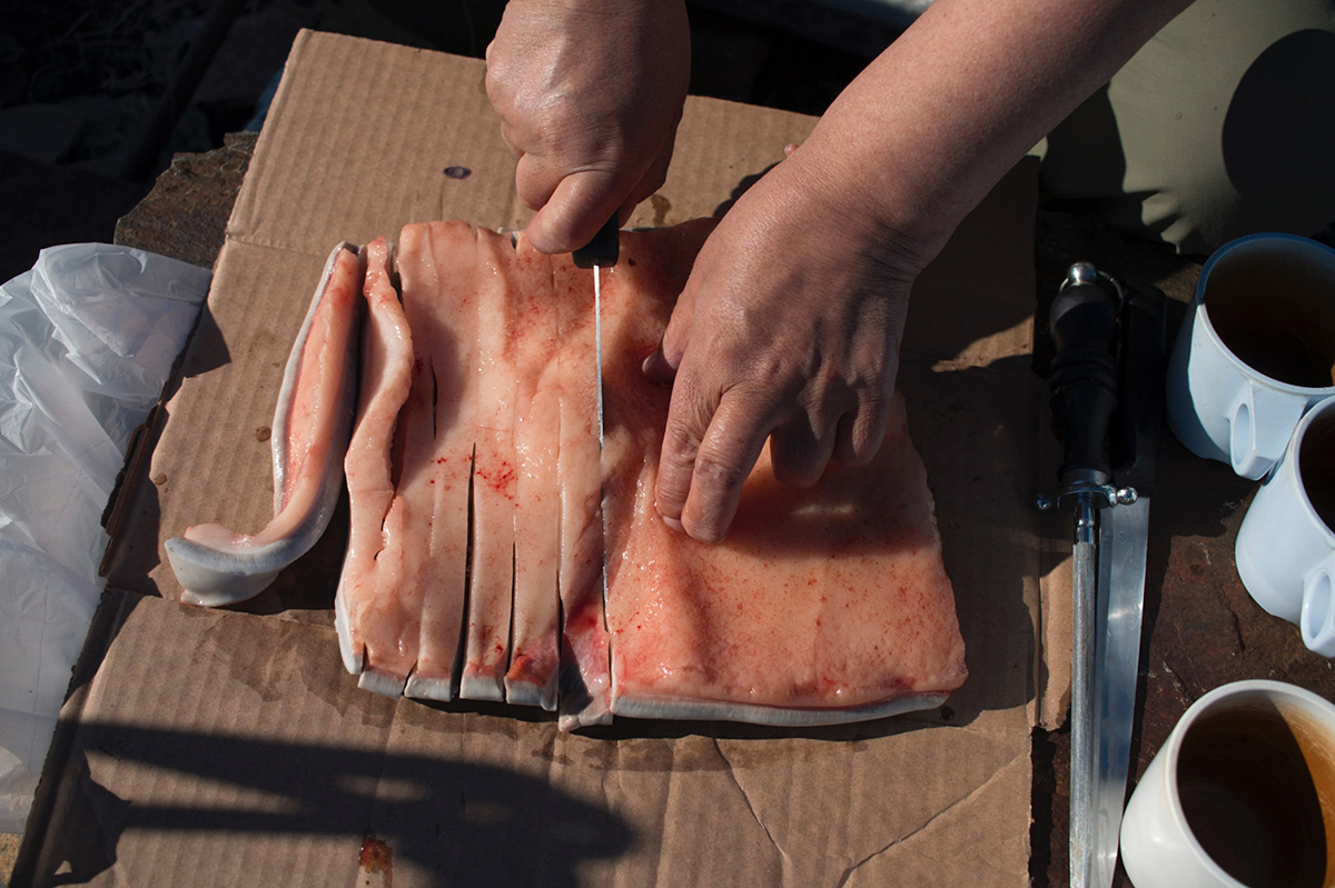 A piece of Beluga whale blubber being sliced into strips