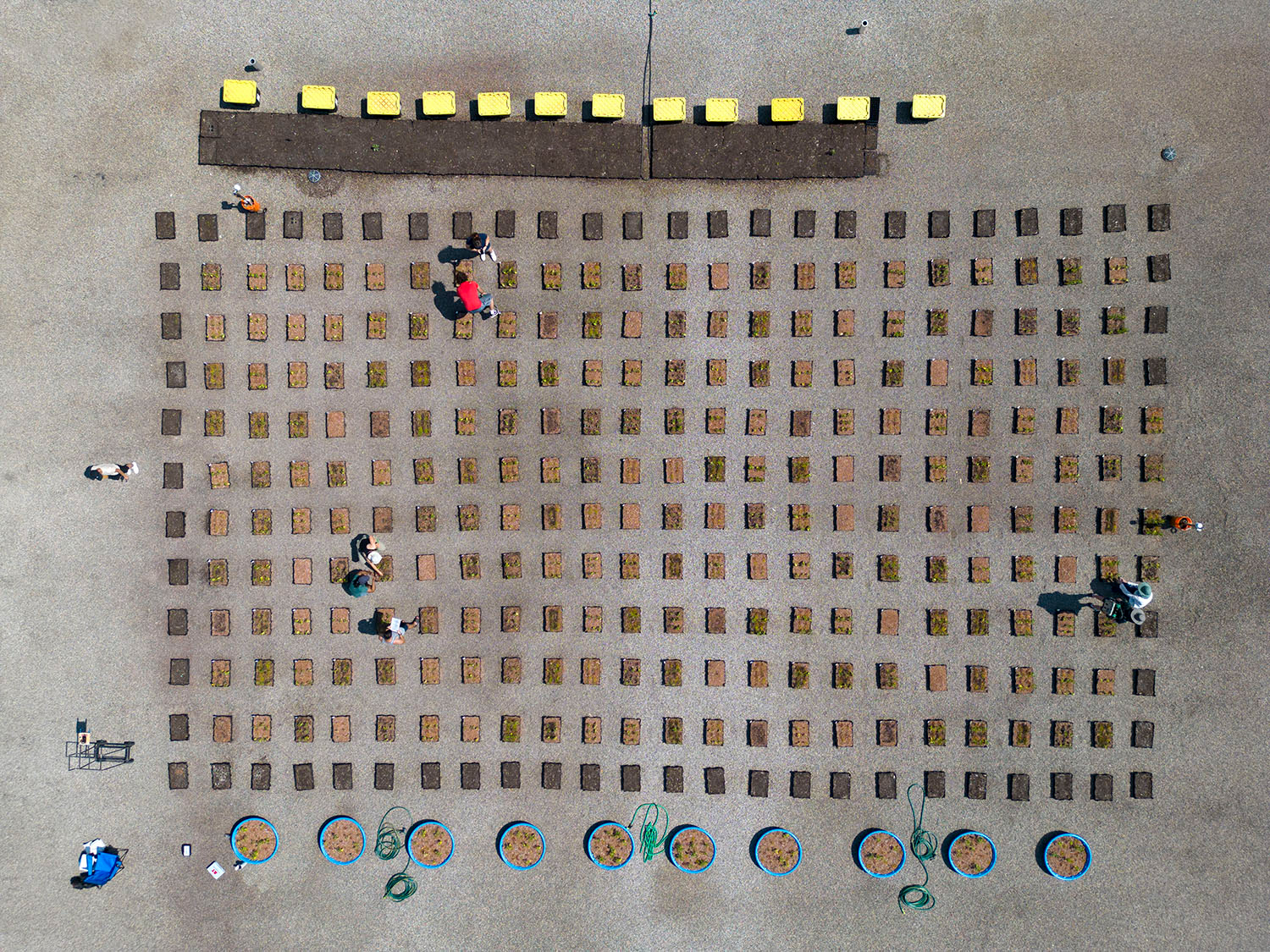 Bird's eye view of rows of boxes containing plants on the rooftop of UTSC's Highland Hall, and several students taking measurements
