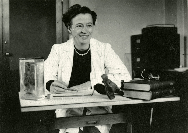 Black and white photo of Maria Torrence Wishart, holding a pencil and sitting in her office in front of a sketchbook