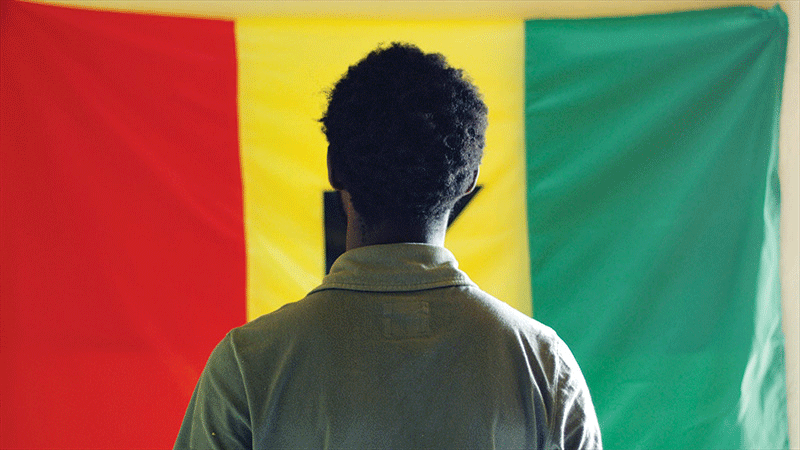 Image from Grey Matter film poster, depicting the back profile of the director looking at a flag with red, yellow and green colours running vertically