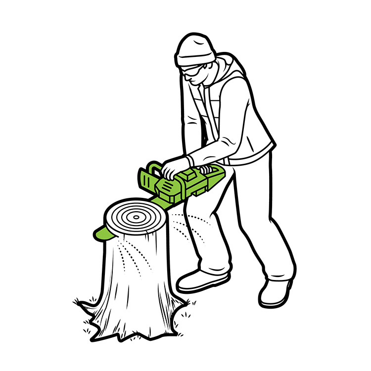 Black and white digital illustration of a researcher cutting a slice of a tree trunk with a green-coloured chainsaw