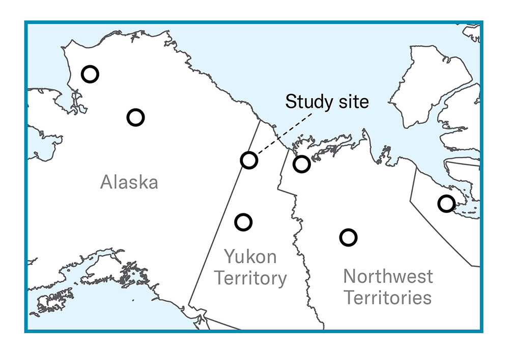 Map showing the location of seven study sites, two in Alaska, two in Yukon Territory, two in Northwest Territories and one in Nunavut