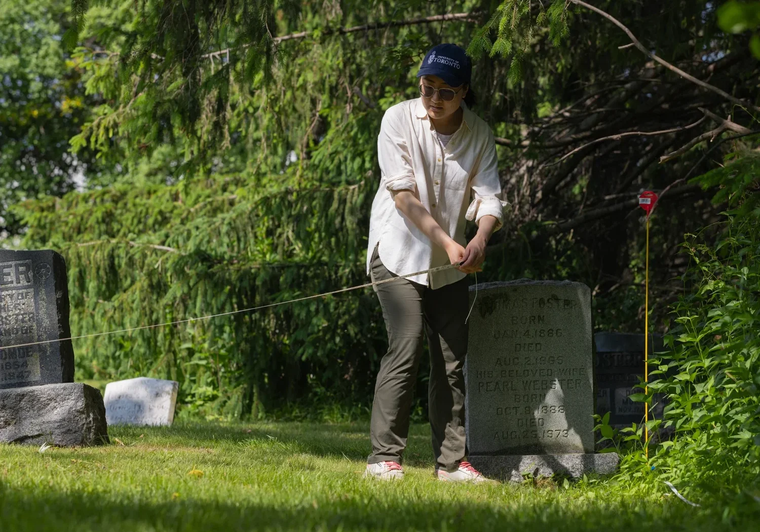 A researcher pulls a tape toward a yellow stick with a red marker at the top, next to a tombstone.