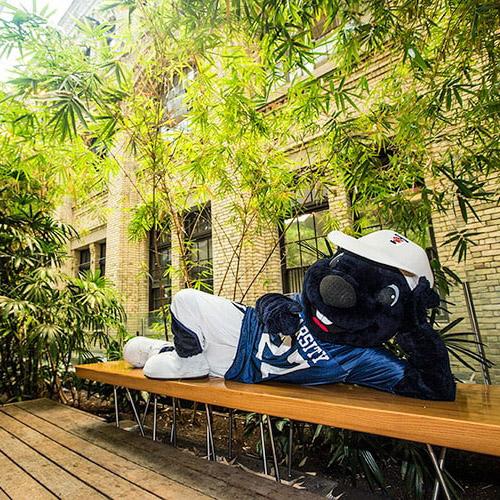 U of T's beaver mascot lying down on a wooden bench in the bamboo garden