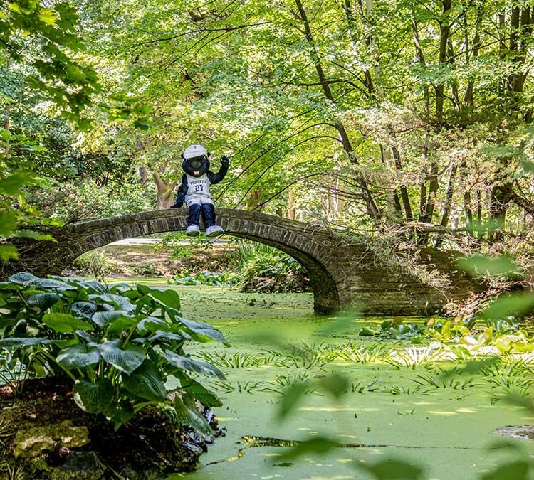 U of T's mascot, True Blue, sitting on a stone bridge over a pond and waving with one hand, surrounded by trees.